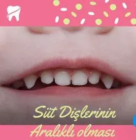 Uzm. Dt. Pırıl Çakır profilinde yer alan galeri fotoğrafı.