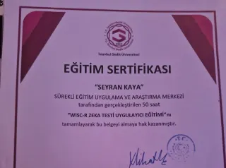 Psk. Seyran Kaya profilinde yer alan galeri fotoğrafı.