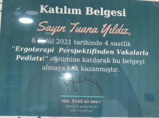 Erg. Tuana Yıldız profilinde yer alan galeri fotoğrafı.