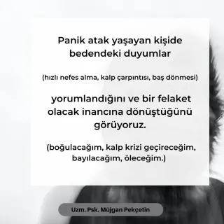 Kl. Psk. Müjgan Pekçetin profilinde yer alan galeri fotoğrafı.