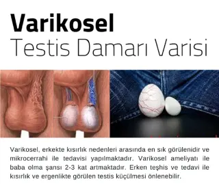Prof. Dr. Hakkı Perk profilinde yer alan galeri fotoğrafı.