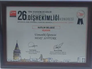 Uzm. Dt. Mert Soytürk profilinde yer alan galeri fotoğrafı.
