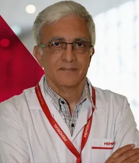 Prof. Dr. Ali ANARAT İstanbul